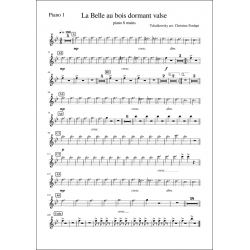 Valse de La belle au bois dormant 8 mains Piano 1