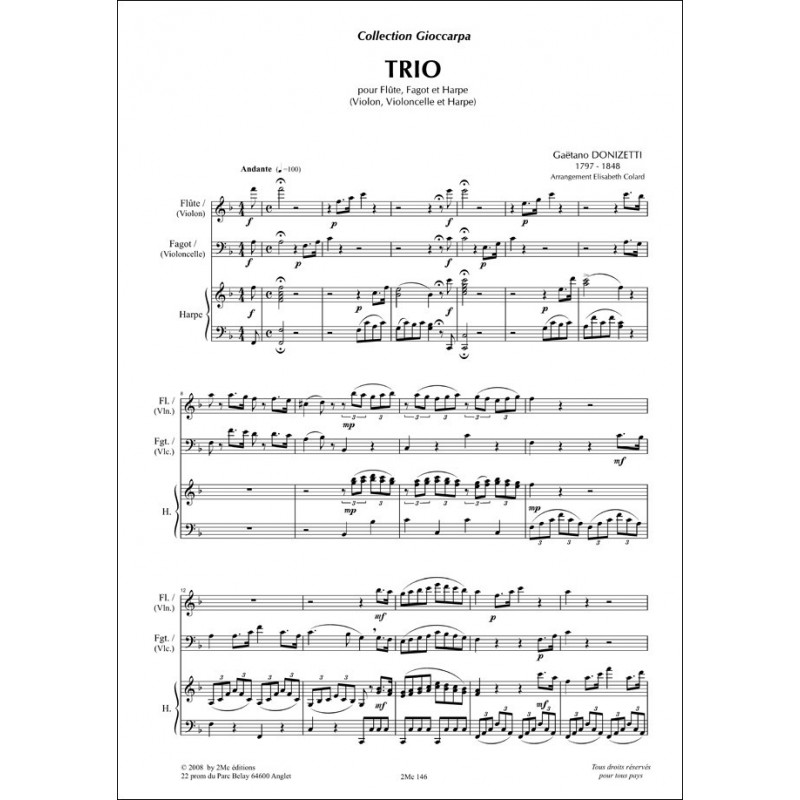 Donizetti Trio pour flûte (violon), fagot (violoncelle) et harpe