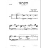 Vivaldi - Trio sonate en La mineur (fl,fgt,hp ou vln,vlc et hp)