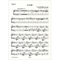 La Truite - Franz Schubert par Vincent Buffin