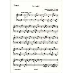 La Truite - Franz Schubert par Vincent Buffin