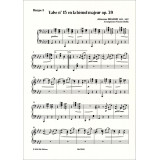Brahms - Valse n°15 lab maj op39 Harpe 3